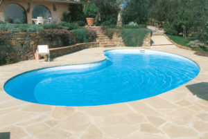 Free Form Swimming Pool