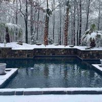 Luxury Desjoyaux pool with palm trees in snow-covered backyard